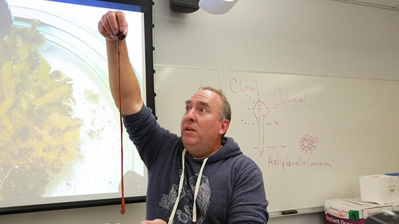 La historia de resistencia de B, el gusano que desafió la ciencia